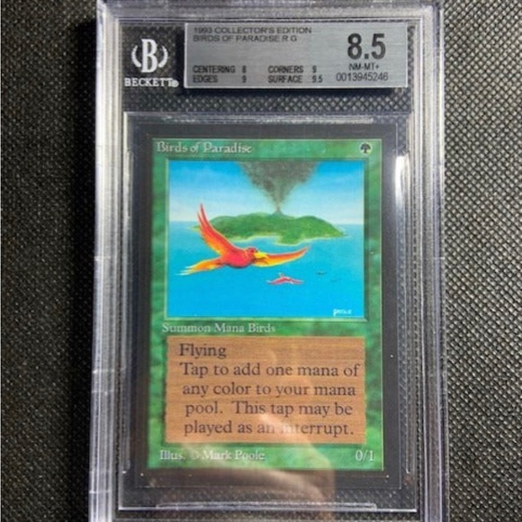 1993 MTG CE Collector's Edition BOP Birds of Paradise BGS 8.5 NM-MINT+ - Picture 2 of 3